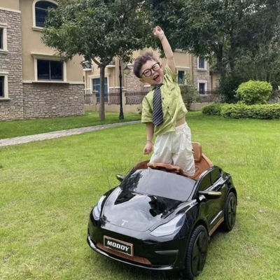 Bluetooth/Remote Control/Toy Car